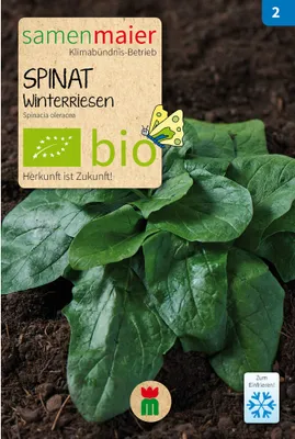 Produktbild von Spinat Winterriesen - 5 g Saatgut