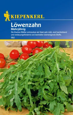 Produktbild von Kiepenkerl Löwenzahnsamen, mehrjährig