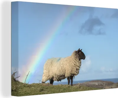 Produktbild von OneMillionCanvasses® - Leinwandbilder - 140x90 cm, Schaf - Himmel - Regenbogen, Wandbilder Kunstdruck Wanddekoration