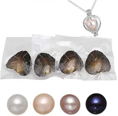 Produktbild von Runde Süßwasseroester mit Perlen, Frauen-Geschenke, 7-8 mm, 4 Stück