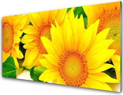 Produktbild von Acrylglasbilder 100x50 Wandbild Druck Sonnenblumen Pflanzen