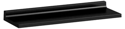 Image de LAUFEN Kartell Tablette Shelfish, L/P/H 450/155/40 mm, fixée au mur, H3853300910001