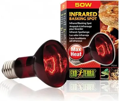 Produktbild von Exo Terra Infrarot-wärmelampe Durchsichtig 75W Durchsichtig 75W