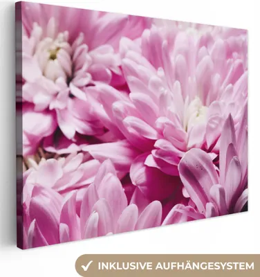 Produktbild von MuchoWow® - Leinwandbilder - Blumen - Rosa - Natur, Wandbild, Wanddeko Bilder Wohnzimmer, 40x30 cm
