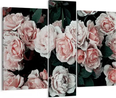 Produktbild von Bild auf Leinwand - Leinwandbild - 3 Teile - Rosen Blumen Blätter - 95x80cm - Wand Bild - Wanddeko - Wandbilder - Leinwanddruck - Bilder - Wanddekoration - Leinwand bilder - Wandbild - CB95x80-4760