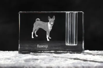 Produktbild von Basenji, Kongo-Terrier - Stifthalter, Kristallorganizer mit Hundefoto, einzigartige Schreibtischdekoration der Marke Art-Dog