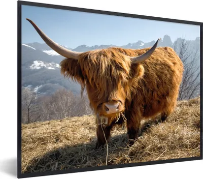 Produktbild von MuchoWow® Gerahmtes Poster Schottischer Highlander - Berg - Schnee 80x60 cm - Poster mit Schwarzem Bilderrahmen Wandposter Rahmen Foto Bilder - Schwarzem - Mit Gestell