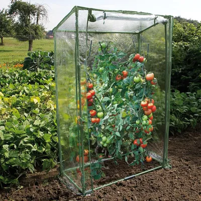 Produktbild von Nature Tomatengewächshaus 100×50×150 cm