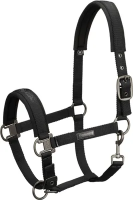 Produktbild von Eskadron Essence Pin Buckle Halfter