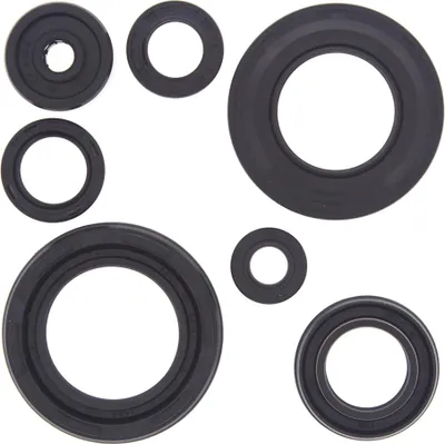 Obrázek produktu pro Sada motorových těsnění WINDEROSA W822154