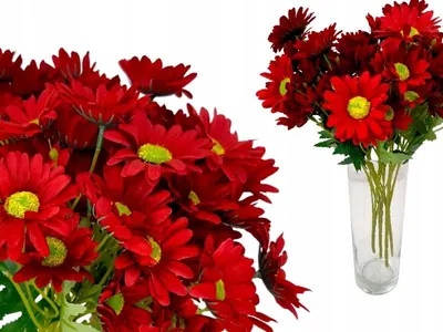 Produktbild von Griny Künstliche Gänseblümchen Strauß Rot 5 Stiele