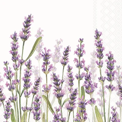 Produktbild von Ambiente Servietten Lavendel Shades 33 cm