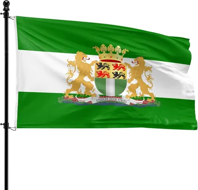 Produktbild von Flagge Rotterdam, 90 x 150 cm, Polyester, für die Fahnenstange