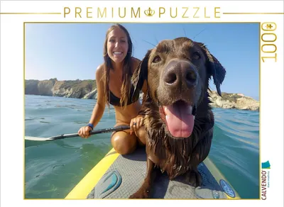 Produktbild von CALVENDO Puzzle Dieser Hund ist nicht wasserscheu | 1000 Teile Lege-Größe 64x48cm Foto-Puzzle für glückliche Stunden