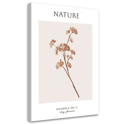 Image de Toile Fleur séchée – Nature 40x60 Feeby Beige image pour le mur prête à accrocher