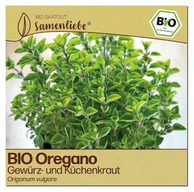 Produktbild von Samenliebe  Oregano Samen | Küchenkraut - winterhart & mehrjährig - samenfestes  Saatgut