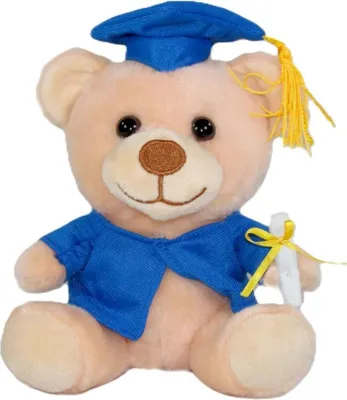 Produktbild von Maskottchen Teddybär Absolvent Plüsch 12 cm