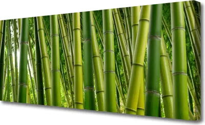 Produktbild von Tulup Leinwand-Bilder 125x50 Wandbild Canvas Kunstdruck Bambusrohre Pflanzen