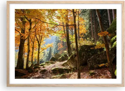 Produktbild von Gerahmtes Poster - Rahmen in heller Eiche - Herbst berg wald natur - 70x50 cm - Wand Bild - Wanddeko - Wandbilder - Wandposter - Bilderrahmen - Bilder - Kunstdruck - Wandbild - P2NAA70x50-2713
