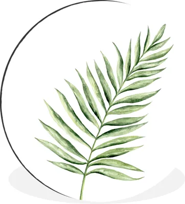Produktbild von MuchoWow® Aluminium Wandkreis Pflanze - Aquarell Ø 30 cm Wanddeko Modern Wohnzimmer - Wand Bild - Wohnzimmer - Runde Bilder - Alubilder - Kunst für zu Hause - Aluminium - Wanddekoration