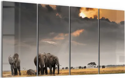 Produktbild von DEQORI Glasbild Echtglas 4x30x60 cm 'Savannen Dämmerung' Wandbilder XXL groß