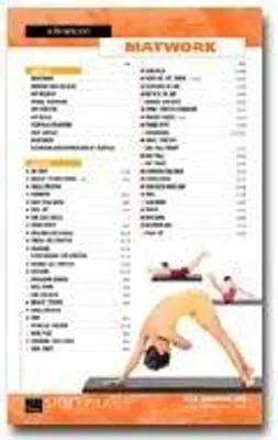 Obrázek produktu pro STOTT PILATES – Nástěnné cvičební zařízení – Pokročilé cvičení na podložce