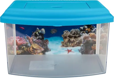 Image de COBBYS PET Aquarium en plastique 1, avec couvercle et fond 22x16x14cm 3l, 10154