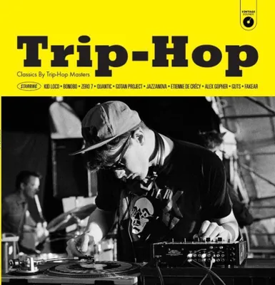 Obrázek produktu pro Various Artists: Trip Hop - - (Vinyl / Rock (Vinyl))