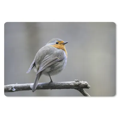 Produktbild von MuchoWow® Schreibtischunterlage Rotkehlchen - Zweig - Winter 60x40 cm - XXL Mauspad - Großes Mauspad