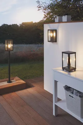 Image de EGLO Applique extérieure Alamonte 1 noir 60 W 94831