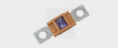Image de Fusible SWGAutomotive 73131015080 Blister