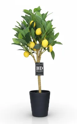 Produktbild von Bellatio design Kunstliche Pflanze Zitrusbaum im Topf - Zitrone - 70 cm