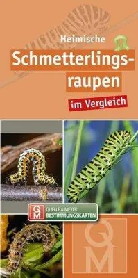 Produktbild von Heimische Schmetterlingsraupen