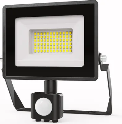 Image de HOFTRONIC - Projecteur LED avec détecteur de mouvement 30W 4000K IP65 Noir