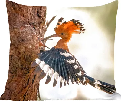Produktbild von MuchoWow® Zierkissen Sofakissen Wohnzimmer Dekokissen 50x50 cm Vogel - Baum - Wald - Komfort - Sofakissen