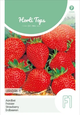 Produktbild von Erdbeeren Grandian F1 | Erdbeersamen von Hortitops