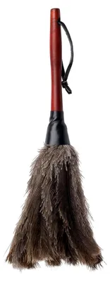 Produktbild von Staubwedel aus Straußenfedern mit Griff aus Buchenholz, 35 cm