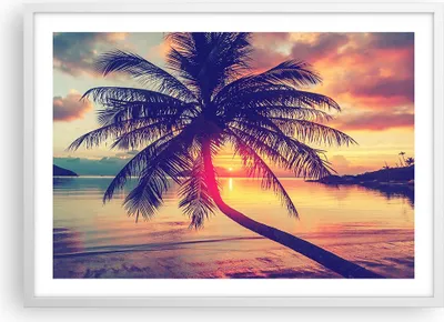 Produktbild von Gerahmtes Poster - Weißer Rahmen - Meer Strand Palme - 70x50 cm - Wand Bild - Wanddeko - Wandbilder - Kunstposter - Wandposter - Bilderrahmen - Bilder - Kunstdruck - Wandbild - P2WAA70x50-3925