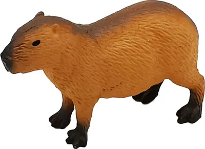 Image de A - Figurka Kapybara 7 cm