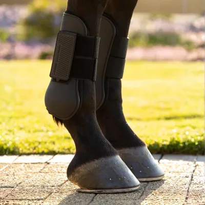 Produktbild von LeMieux Arika Tendon Boot, Farbe:Black, Größe:M