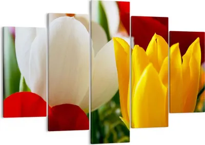 Produktbild von Bild auf Leinwand - Leinwandbild - Tulpen Vase Blumenstrauß - 150x100cm - Wand Bild - Wanddeko - Leinwanddruck - Bilder - Kunstdruck - Wanddekoration - Leinwand bilder - Wandkunst - EA150x100-1366