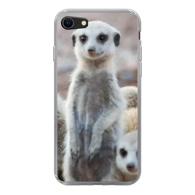 Produktbild von MuchoWow® Handyhülle Schutzhülle Hülle für iPhone 8 Neugierige Erdmännchen Silikon Softcase Handy Hülle - Schutzhaube