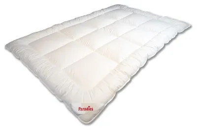 Produktbild von Paradies Winterbettdecke Nima Bio winterwarm Größe 155x200