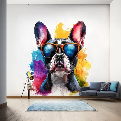 Französische Bulldogge mit Sonnenbrille – Decords Wandtattoo, Produktansicht 1