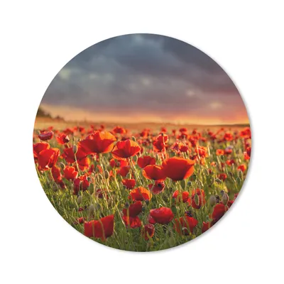 Produktbild von MuchoWow® Mauspad Mousepad Sonnenuntergang über einem Feld von Mohnblumen 40x40 cm - Mousepads - Maus Mat - Pad - Mausunterlage - Schreibtisch Accessoires