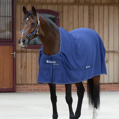 Image de Bucas Shamrock Power - Taille 145 - Bleu