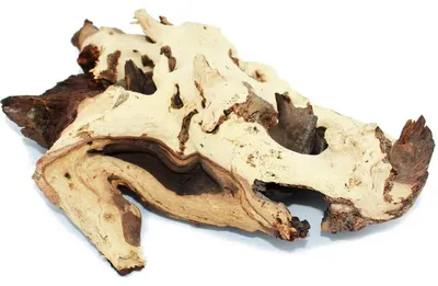 Produktbild von Mopanie Wurzelholz 23-29 cm, naturgewachsen, hohes Eigengewicht für Aquarium & Terrarium