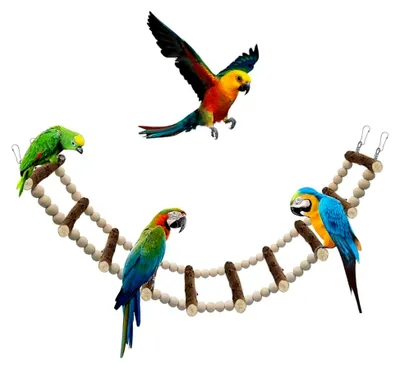 Produktbild von Vogelspielzeug aus Holzleitern, Zubehör für Wellensittiche, Nymphensittiche und Kakadus (10-teilige Leiter, 64 cm)