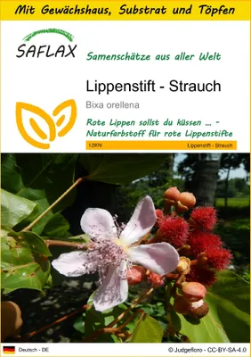 Produktbild von SAFLAX Anzucht Set - Lippenstift - Strauch - Bixa orellena - 20 Samen - Mit Mini-Gewächshaus, Anzuchtsubstrat und 2 Töpfen