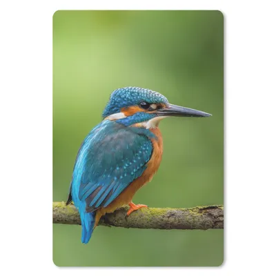 Produktbild von MuchoWow® Mauspad Mousepad Eisvogel - Zweig - Moos - Vogel - Grün 18x27 cm - Mousepads - Maus Mat - Pad - Mausunterlage